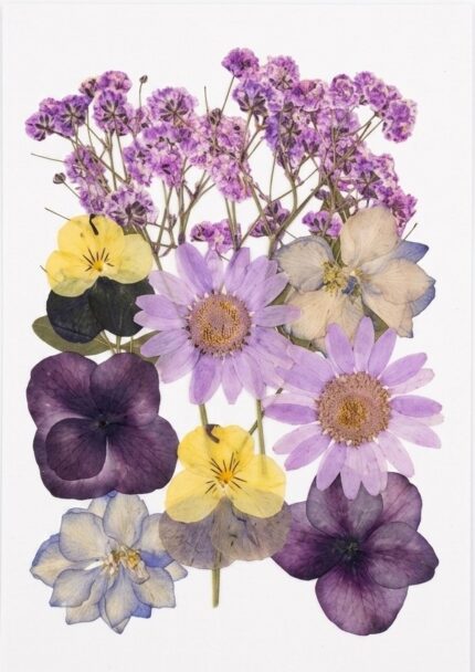 Premium Natural Pressed Dried Flowers for Resin Art & Jewelry Making