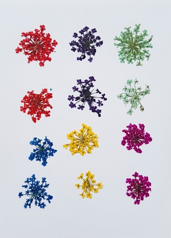 Pressed-Flowers-11