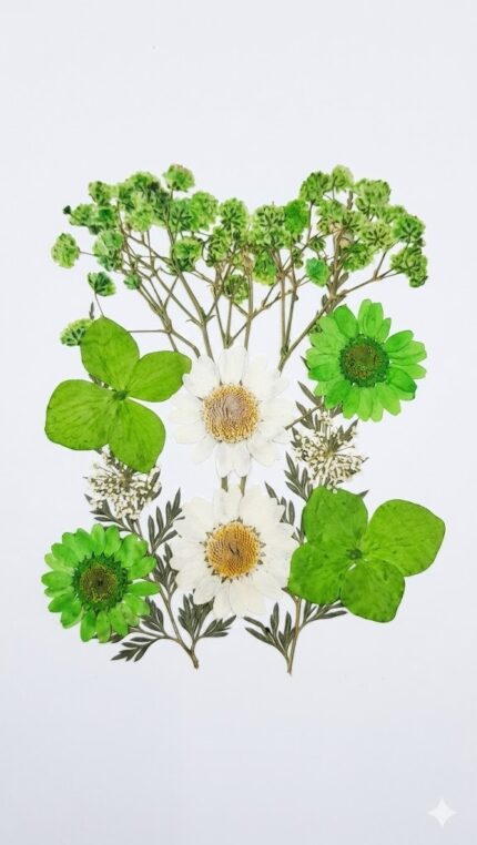 Premium Natural Pressed Dried Flowers for Resin Art & Jewelry Making