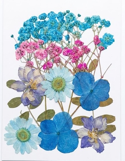Presses-Flowers-12