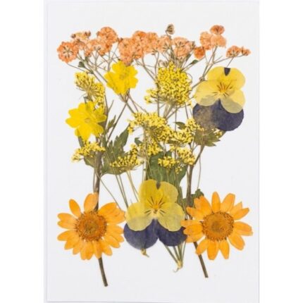 Real Pressed Dried Flowers – Resin Jewelry & Craft Decoration