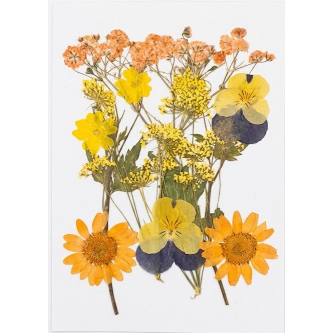 imresizer-Presses-Flowers-14